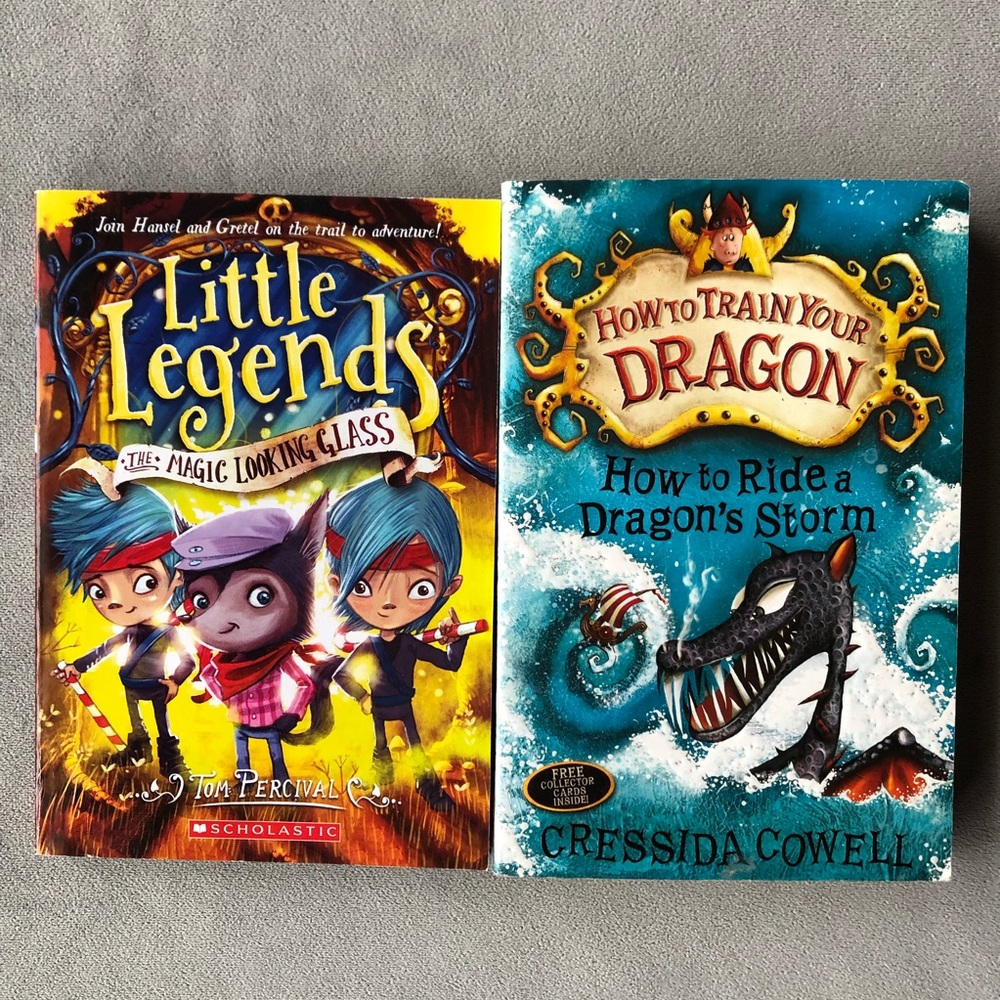 Set of 2 ~ Little Legends & How to Train Your Dragon